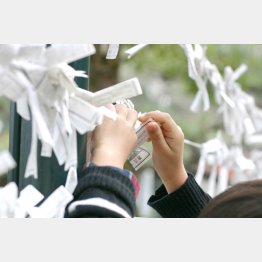 正しくは持ち帰る