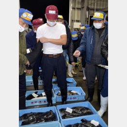 「袋競り」で初値を決める（山口・下関市の南風泊仮設市場＝4日）／（Ｃ）共同通信社