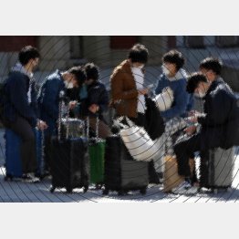 諦めずに確認を（写真はイメージ）／（Ｃ）日刊ゲンダイ