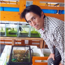 メダカの成長を見守る兵頭さん（提供写真）