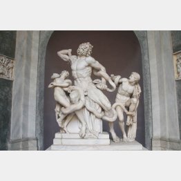 写真①「ラオコーン」（Ｃ）Album／E. Viader／Prisma／共同通信イメージズ