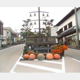 岳温泉の町並み（Ｃ）日刊ゲンダイ