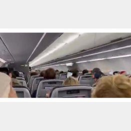 （ツイッターから）