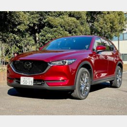 外観は初期型と全く変わらず（写真）小沢コージ