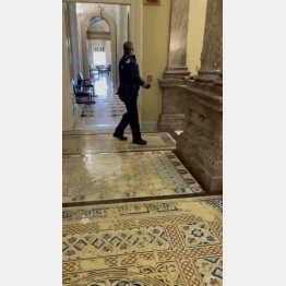 決定的瞬間（クリスティン・ウイルソンさんのツイッターから。イゴア・ボビックさんの投稿動画から切り出したもの）