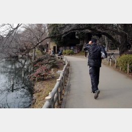 いきなり歩くと負担が大きい（Ｃ）日刊ゲンダイ