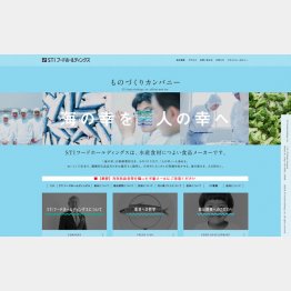 STIフードホールディングスの公式HP