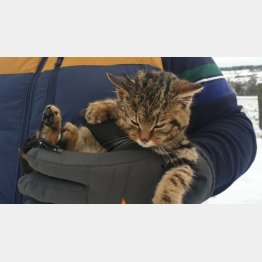 （ＧｏＦｕｎｄＭｅから）