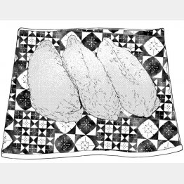 イラスト・嵐塚麻晴