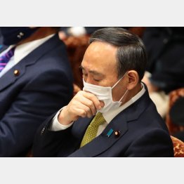 菅首相は防戦一方＝4日、衆院予算委員会（Ｃ）日刊ゲンダイ