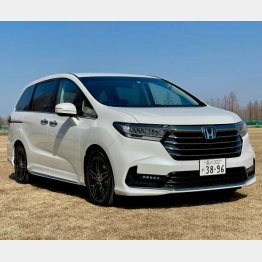 全体的に上品な仕上がり（写真）小沢コージ