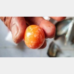 （ツイッターから）