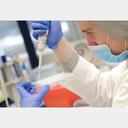 変異株の配列を分析する研究所員（Ｃ）ロイター