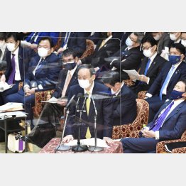 衆院予算委で答弁する菅首相（中央）／（Ｃ）共同通信社