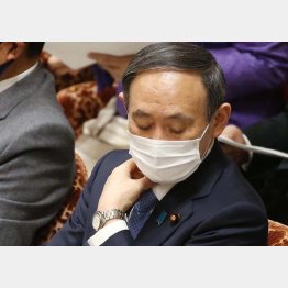 菅首相、黙して語らず（Ｃ）日刊ゲンダイ