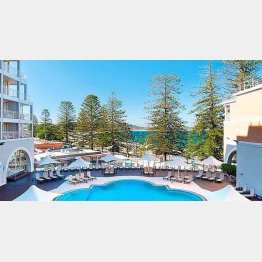 至れり尽くせりのテイク・ケア（ツイッターから）