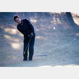 グリーン回りから絶妙なアプローチを見せる師匠（提供写真）