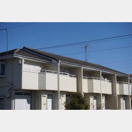 写真はイメージ