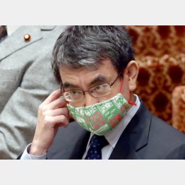 無謀な公約（河野太郎行革担当相）／（Ｃ）日刊ゲンダイ