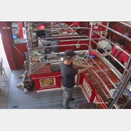 そのときラッキーは…（ラッキーのフェイスブックから）