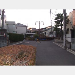 袋小路のクルドサック（提供写真）