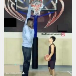 （写真はユーチューブから）