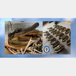 英ウエストミッドランド警察のフェイスブックから