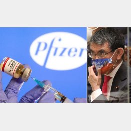 足元見られ曖昧契約、ファイザーに相手にされず（河野太郎行革相＝右）／（Ｃ）日刊ゲンダイ