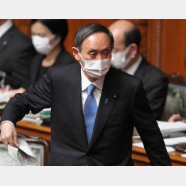 身から出たサビが半端ではない（菅首相）／（Ｃ）日刊ゲンダイ