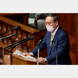 「息子とは別人格」「接待も官僚が勝手に」と言わんばかりの強弁（菅首相）／（Ｃ）日刊ゲンダイ