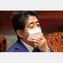 嘘とデタラメの「安全神話」で欺いたのは安倍前首相（Ｃ）日刊ゲンダイ