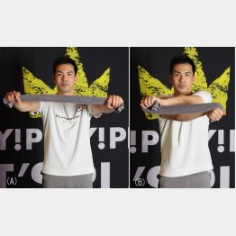 写真A、写真B（Ｃ）日刊ゲンダイ