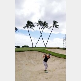 ソニーオープン会場のハワイ・ワイアラエCCでプレー（提供写真）