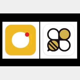 右から、「finbee（フィンビー）」と「しらたま」／（提供写真）