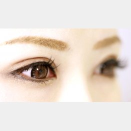 写真はイメージ