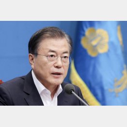 家庭菜園歴11年（韓国大統領府提供・共同）