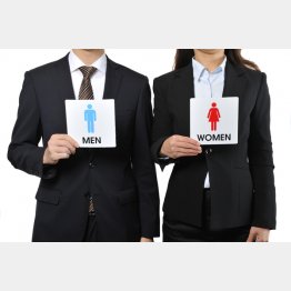 写真はイメージです