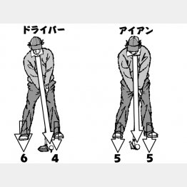 イラスト・渡辺隆司