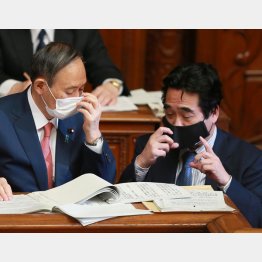 首相側近による官邸の私物化（坂井学官房副長官と話す菅首相＝左、国会）／（Ｃ）日刊ゲンダイ