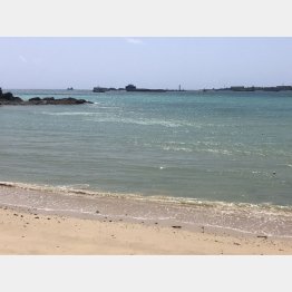 辺野古で続く埋め立て作業（撮影：筆者）