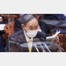 やっぱり器じゃない…（菅首相）／（Ｃ）日刊ゲンダイ