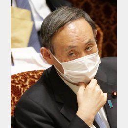 菅首相（Ｃ）日刊ゲンダイ