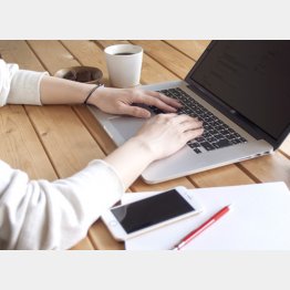 写真はイメージ