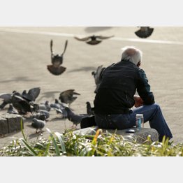 働く環境は整備されるけど…（Ｃ）日刊ゲンダイ