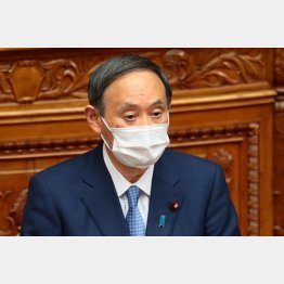 参院本会議で答弁する菅義偉首相（Ｃ）日刊ゲンダイ