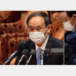 12日、衆院決算行政監視委で答弁する菅義偉首相（Ｃ）日刊ゲンダイ
