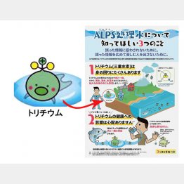 総予算3億円。まるで子供だましだ（提供）復興庁