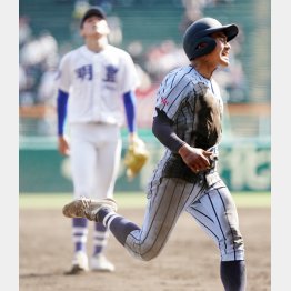 決勝は東海大相模のサヨナラ勝ちで幕切れ（Ｃ）日刊ゲンダイ