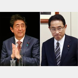 安倍氏は岸田派の孤軍奮闘に恩を売りキングメーカー気取り？（Ｃ）日刊ゲンダイ