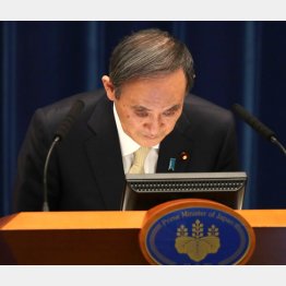 トドメを刺す時（Ｃ）JMPA